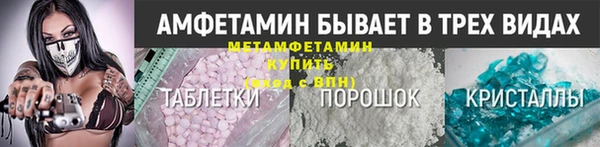 прущие грибы Переславль-Залесский