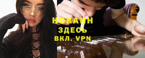 прущие грибы Переславль-Залесский