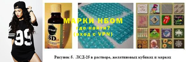 шишки Осинники