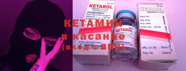 прущие грибы Переславль-Залесский