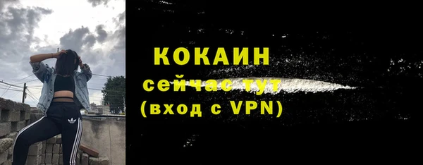 шишки Осинники
