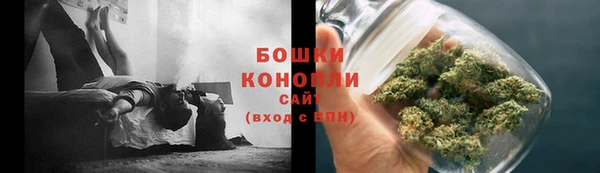 прущие грибы Переславль-Залесский