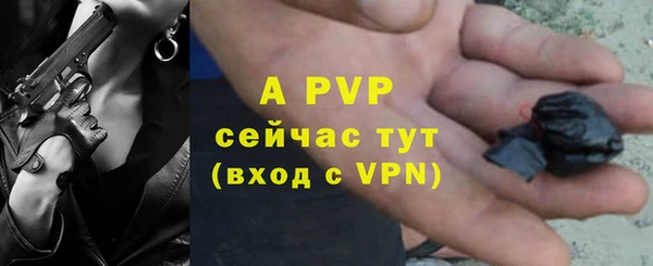 прущие грибы Переславль-Залесский