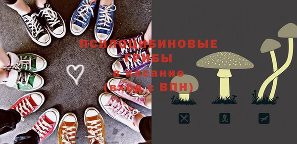 mix Пересвет