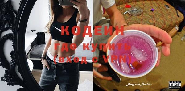 прущие грибы Переславль-Залесский