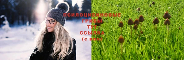 мяу мяу мука Осташков