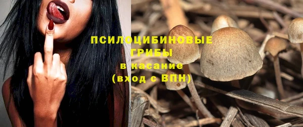 мяу мяу мука Осташков