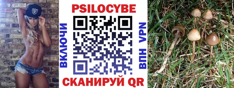 купить наркотики сайты  shop формула  МЕГА ССЫЛКА  Псилоцибиновые грибы мухоморы  Сысерть 